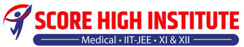 Score High Institute logo